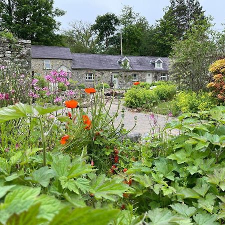 Crug Yr Eryr Isaf Villa Llandysul Exteriör bild