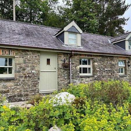 Crug Yr Eryr Isaf Villa Llandysul Exteriör bild