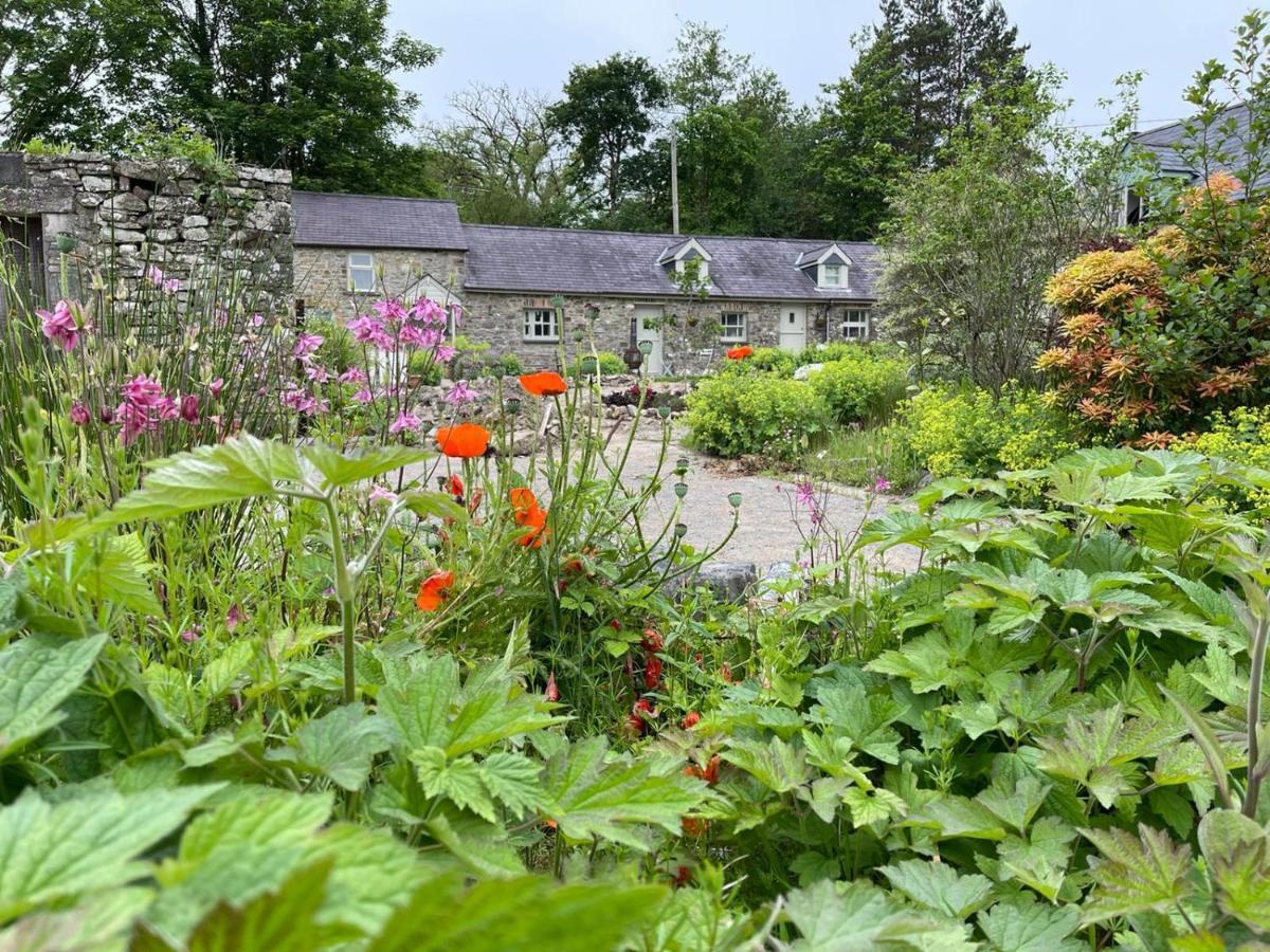 Crug Yr Eryr Isaf Villa Llandysul Exteriör bild