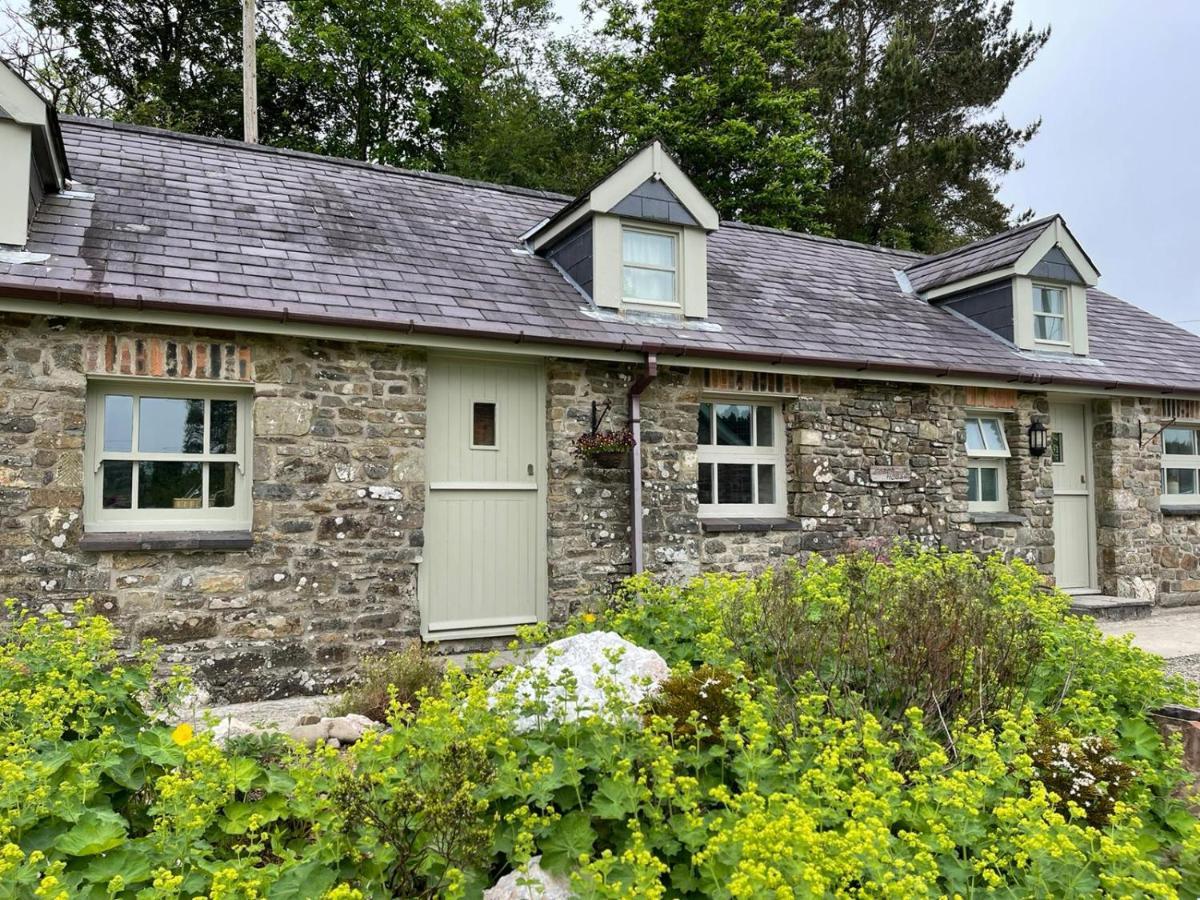 Crug Yr Eryr Isaf Villa Llandysul Exteriör bild